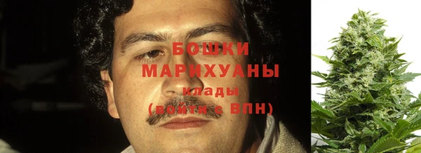 амф Арсеньев