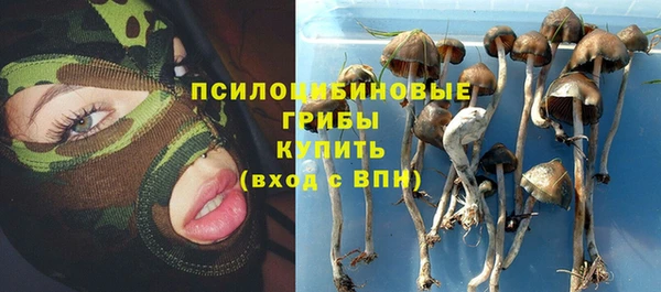 apvp Аркадак