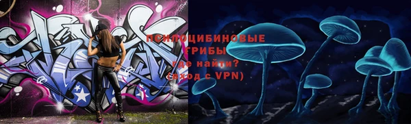 амф Арсеньев