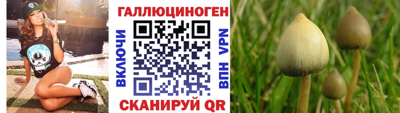 сайты даркнета Telegram  Лаишево  Псилоцибиновые грибы мицелий 